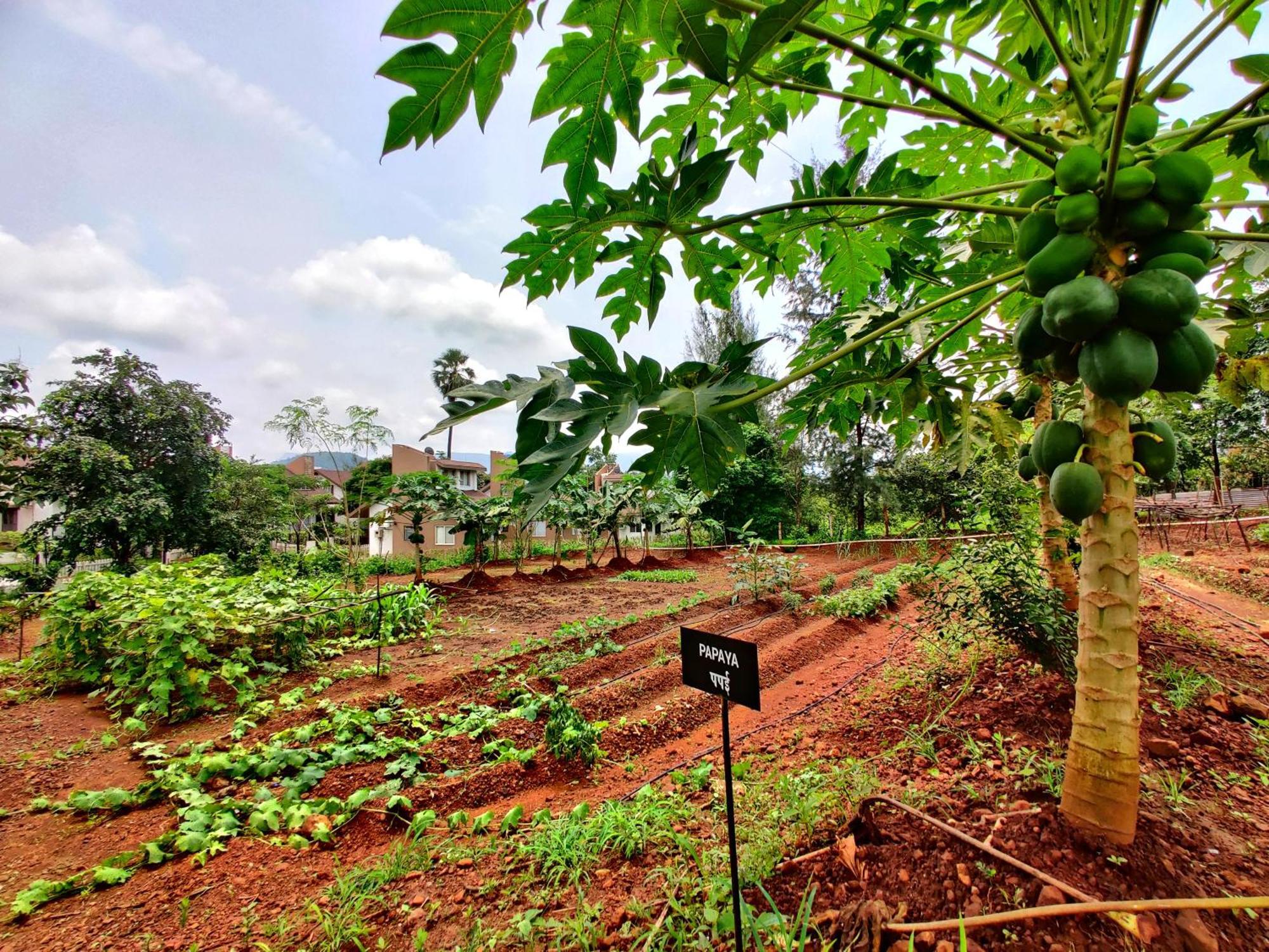 Pushpam Sanskruti Resort Karjat - A Pure Veg Resort Dhamni ภายนอก รูปภาพ