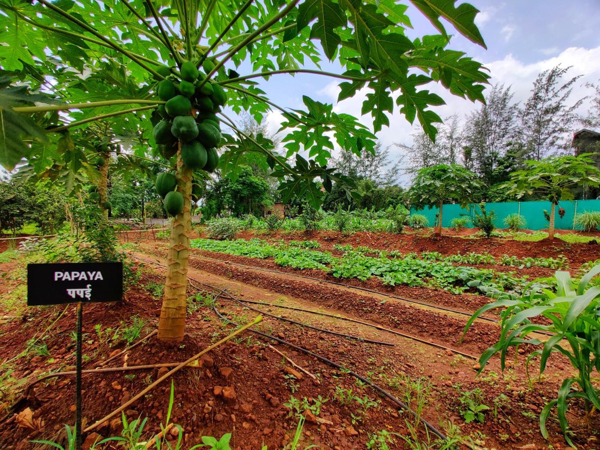 Pushpam Sanskruti Resort Karjat - A Pure Veg Resort Dhamni ภายนอก รูปภาพ