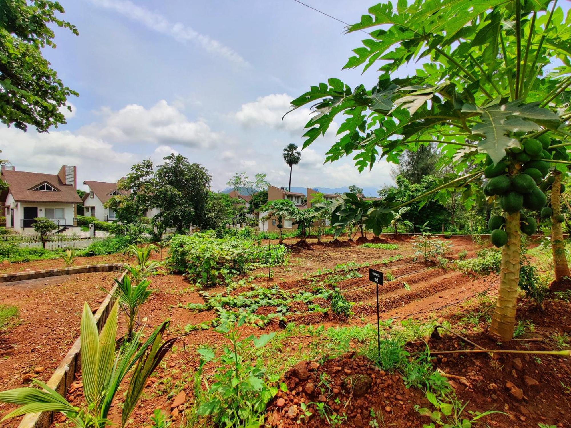 Pushpam Sanskruti Resort Karjat - A Pure Veg Resort Dhamni ภายนอก รูปภาพ